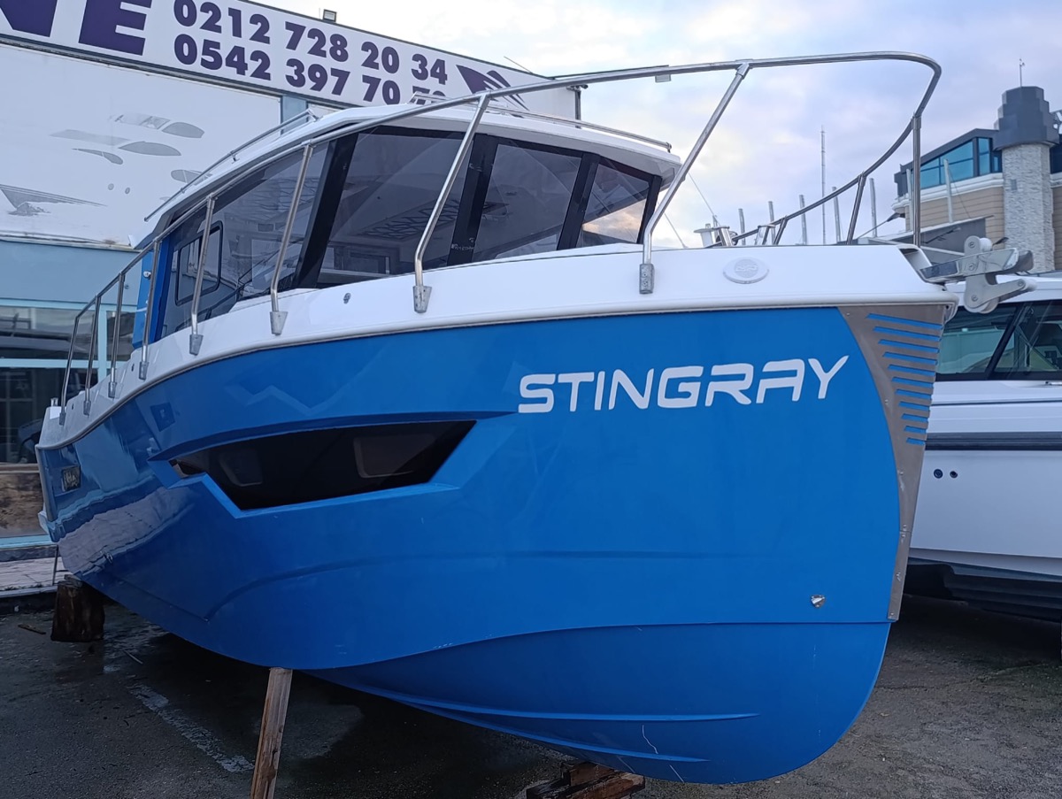 Deniz Group Stingray